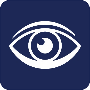 Icon Fernwartung